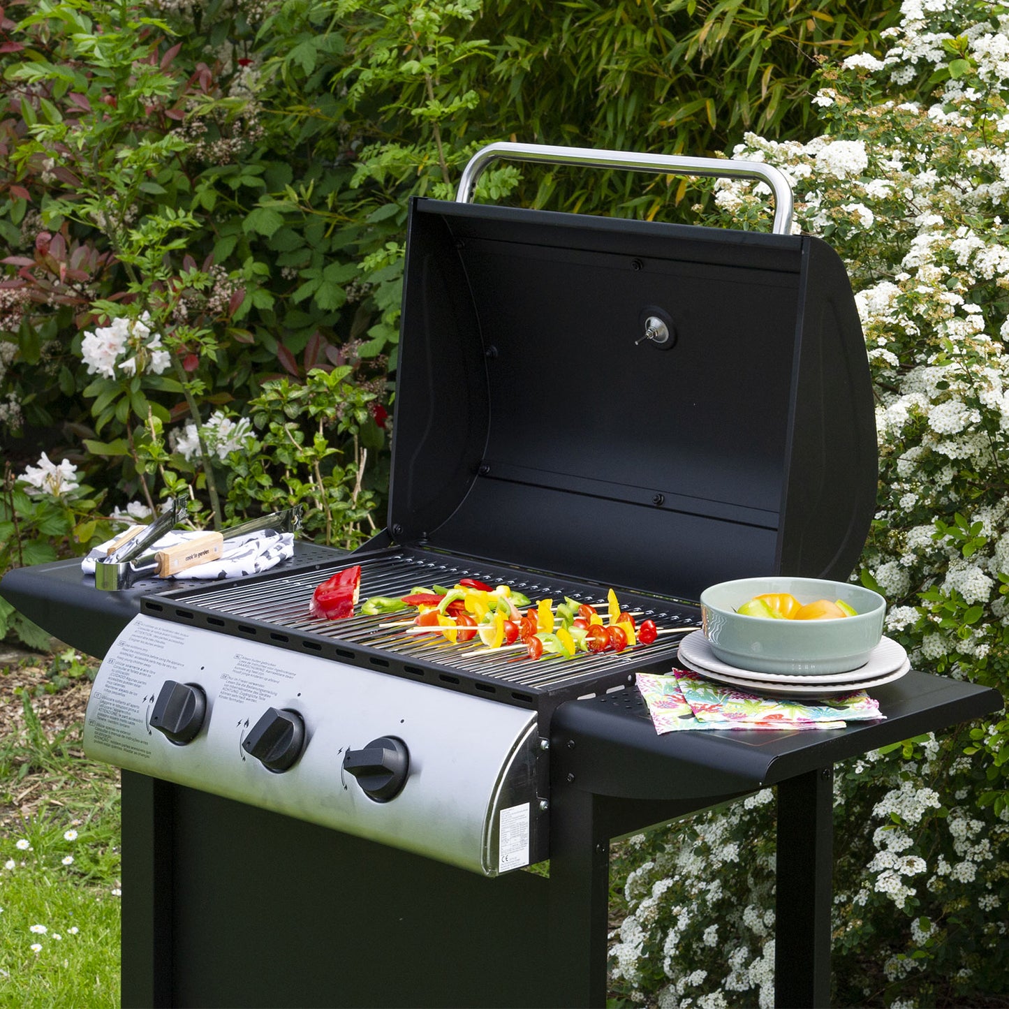 Barbecue Gaz Hawaï - 3 Brûleurs 8,4 kW Butane/Propane