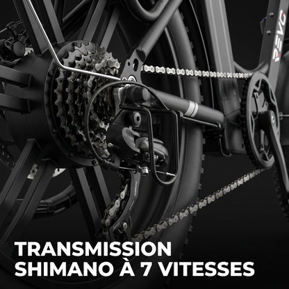 Vélo Électrique Fat Bike REVO Terra Boost – 250 W – Autonomie jusqu’à 126 km – Batterie 48 V 13 Ah – Couple 75 Nm – Pneus 20" x 4"