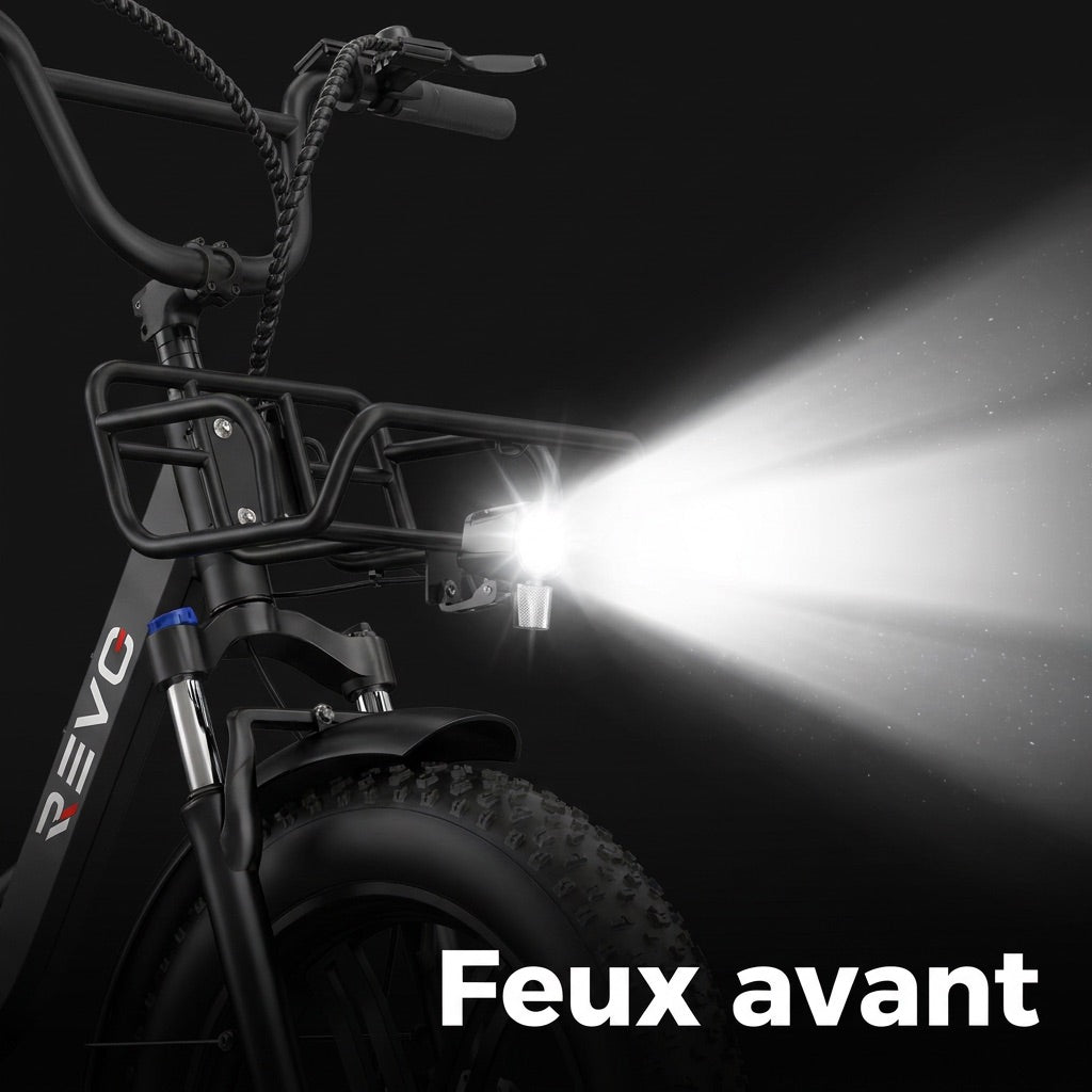 Vélo Électrique Fat Bike REVO Terra Boost – 250 W – Autonomie jusqu’à 126 km – Batterie 48 V 13 Ah – Couple 75 Nm – Pneus 20" x 4"
