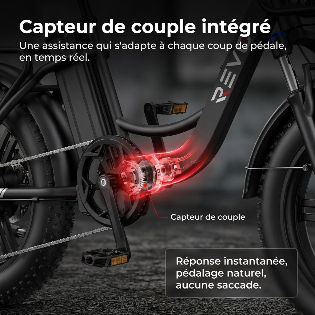 Vélo Électrique Fat Bike REVO Terra Boost – 250 W – Autonomie jusqu’à 126 km – Batterie 48 V 13 Ah – Couple 75 Nm – Pneus 20" x 4"