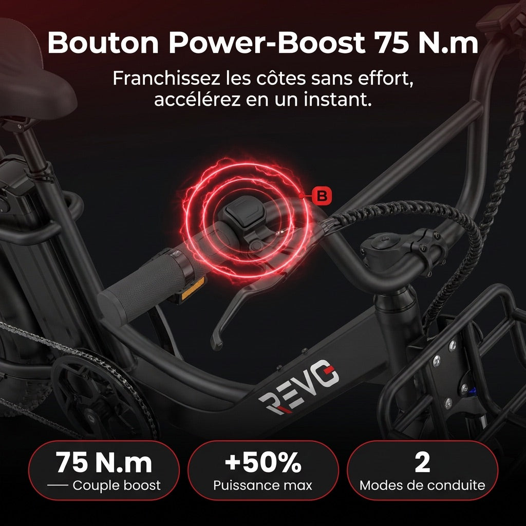 Vélo Électrique Fat Bike REVO Terra Boost – 250 W – Autonomie jusqu’à 126 km – Batterie 48 V 13 Ah – Couple 75 Nm – Pneus 20" x 4"