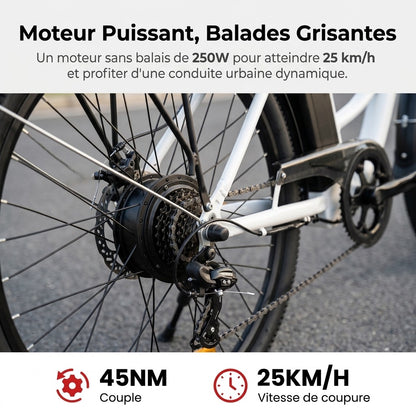 Vélo Électrique REVO CityFlow – 250 W – Autonomie 90 km – Batterie 561,6 Wh – Shimano 7 Vitesses – Roues 26"