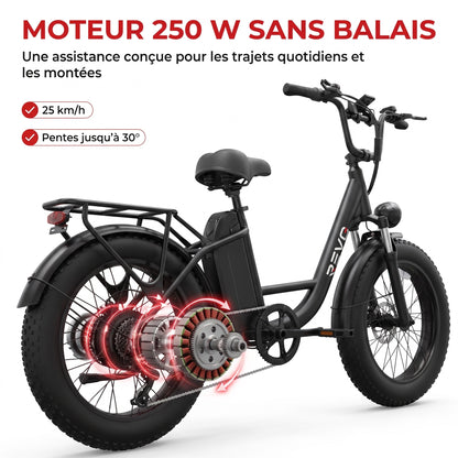Vélo Électrique Fat Bike REVO Ranger 110 - 250 W avec Batterie Amovible 48 V 15,6 Ah, Écran LCD Couleur & Autonomie jusqu’à 110 km