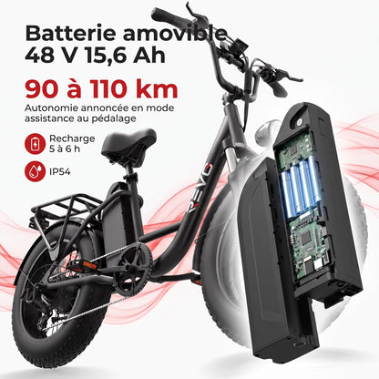 Vélo Électrique Fat Bike REVO Ranger 110 - 250 W avec Batterie Amovible 48 V 15,6 Ah, Écran LCD Couleur & Autonomie jusqu’à 110 km