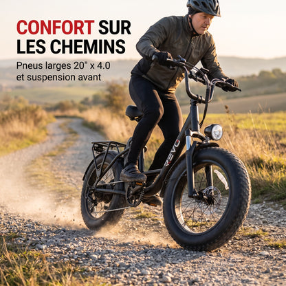 Vélo Électrique Fat Bike REVO Ranger 110 - 250 W avec Batterie Amovible 48 V 15,6 Ah, Écran LCD Couleur & Autonomie jusqu’à 110 km