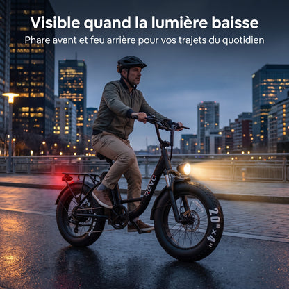 Vélo Électrique Fat Bike REVO Ranger 110 - 250 W avec Batterie Amovible 48 V 15,6 Ah, Écran LCD Couleur & Autonomie jusqu’à 110 km