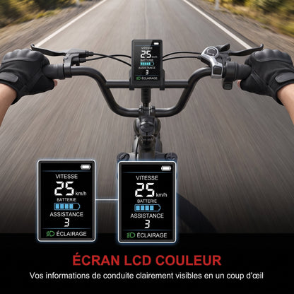 Vélo Électrique Fat Bike REVO Ranger 110 - 250 W avec Batterie Amovible 48 V 15,6 Ah, Écran LCD Couleur & Autonomie jusqu’à 110 km