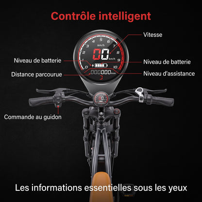 Vélo Électrique Fat Bike REVO Outland 120 – Couple 120 N·m, Batterie Amovible 48 V, Pneus 20 × 4", Suspension Complète & 7 Vitesses