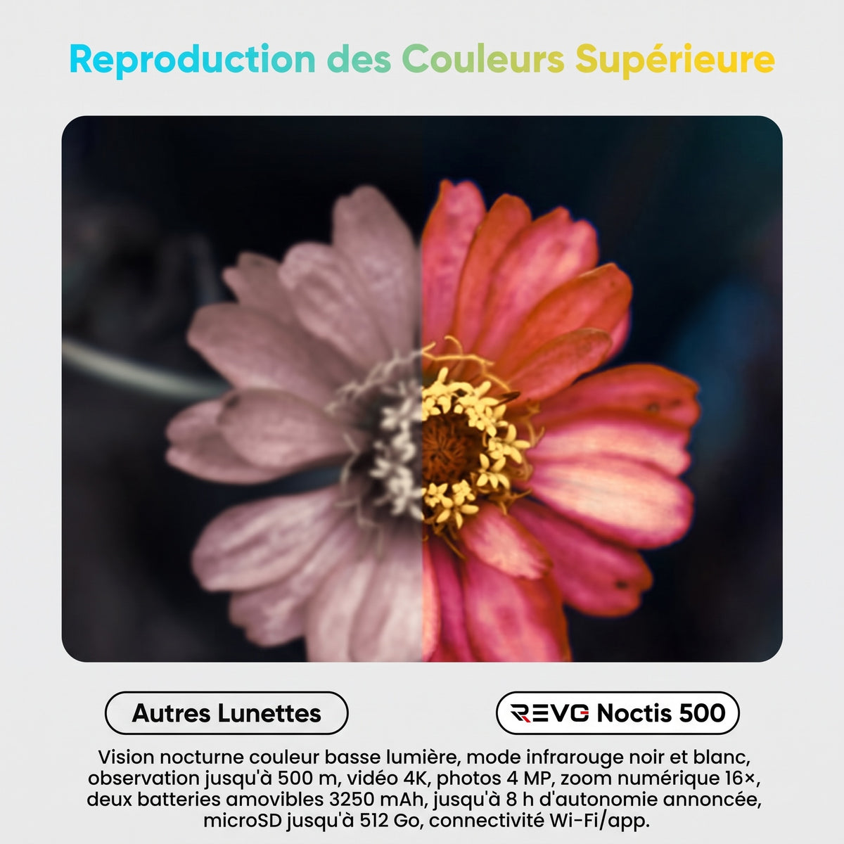 Jumelles de Vision Nocturne REVO Noctis 500 – Couleur & Infrarouge, Vidéo 4K, Zoom 16×, Portée jusqu’à 500 m