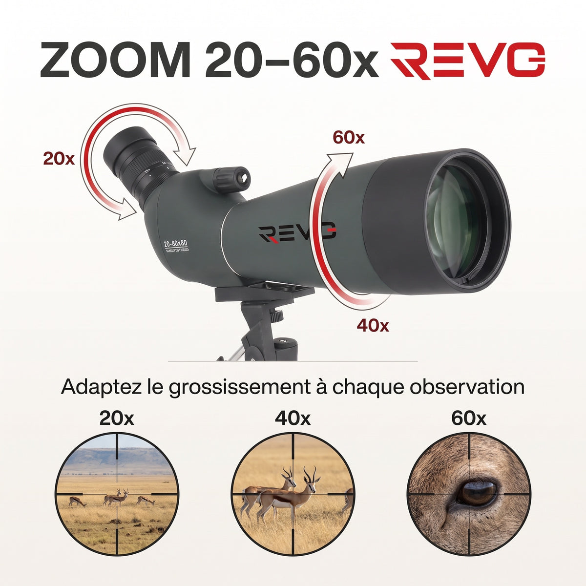 Longue-Vue REVO Falcon 80 – Zoom 20–60x, Objectif 80 mm, Prisme BAK4 & Optique FMC HD