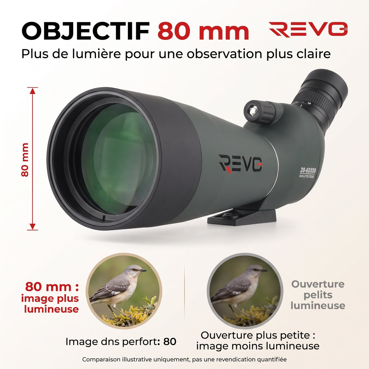 Longue-Vue REVO Falcon 80 – Zoom 20–60x, Objectif 80 mm, Prisme BAK4 & Optique FMC HD