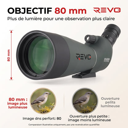 Longue-Vue REVO Falcon 80 – Zoom 20–60x, Objectif 80 mm, Prisme BAK4 & Optique FMC HD