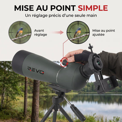 Longue-Vue REVO Falcon 80 – Zoom 20–60x, Objectif 80 mm, Prisme BAK4 & Optique FMC HD