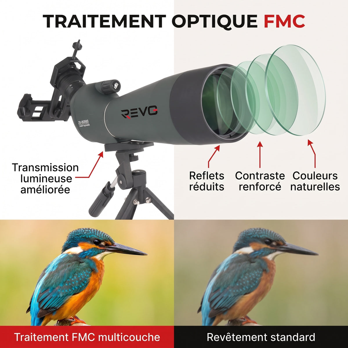 Longue-Vue REVO Falcon 80 – Zoom 20–60x, Objectif 80 mm, Prisme BAK4 & Optique FMC HD