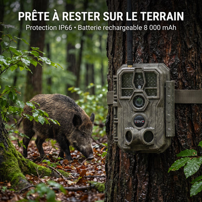 Caméra de Chasse REVO Noctra 64 – 64 MP, Vidéo 1296p, Wi-Fi, Vision Nocturne 30 m, Batterie 8 000 mAh & Mémoire 32 Go