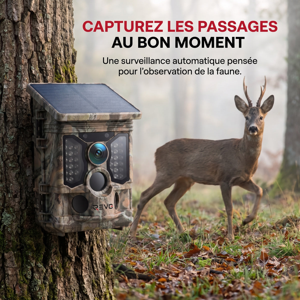Caméra de Chasse REVO TrackCam 30 – 4K 30 fps, Wi-Fi & Bluetooth, Détection 0,1 s, Vision Nocturne & IP66