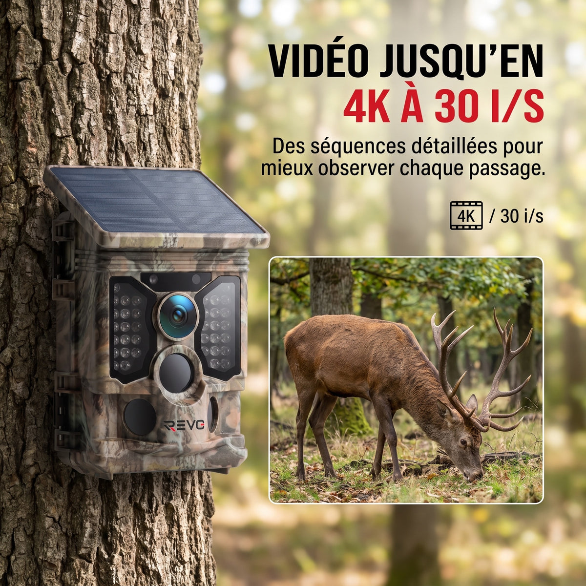 Caméra de Chasse REVO TrackCam 30 – 4K 30 fps, Wi-Fi & Bluetooth, Détection 0,1 s, Vision Nocturne & IP66