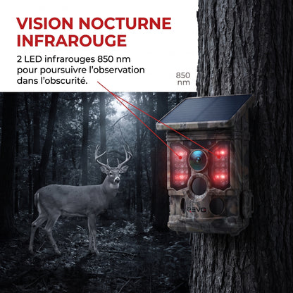 Caméra de Chasse REVO TrackCam 30 – 4K 30 fps, Wi-Fi & Bluetooth, Détection 0,1 s, Vision Nocturne & IP66