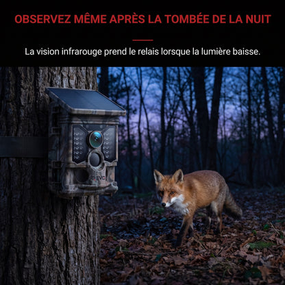 Caméra de Chasse REVO TrackCam 30 – 4K 30 fps, Wi-Fi & Bluetooth, Détection 0,1 s, Vision Nocturne & IP66