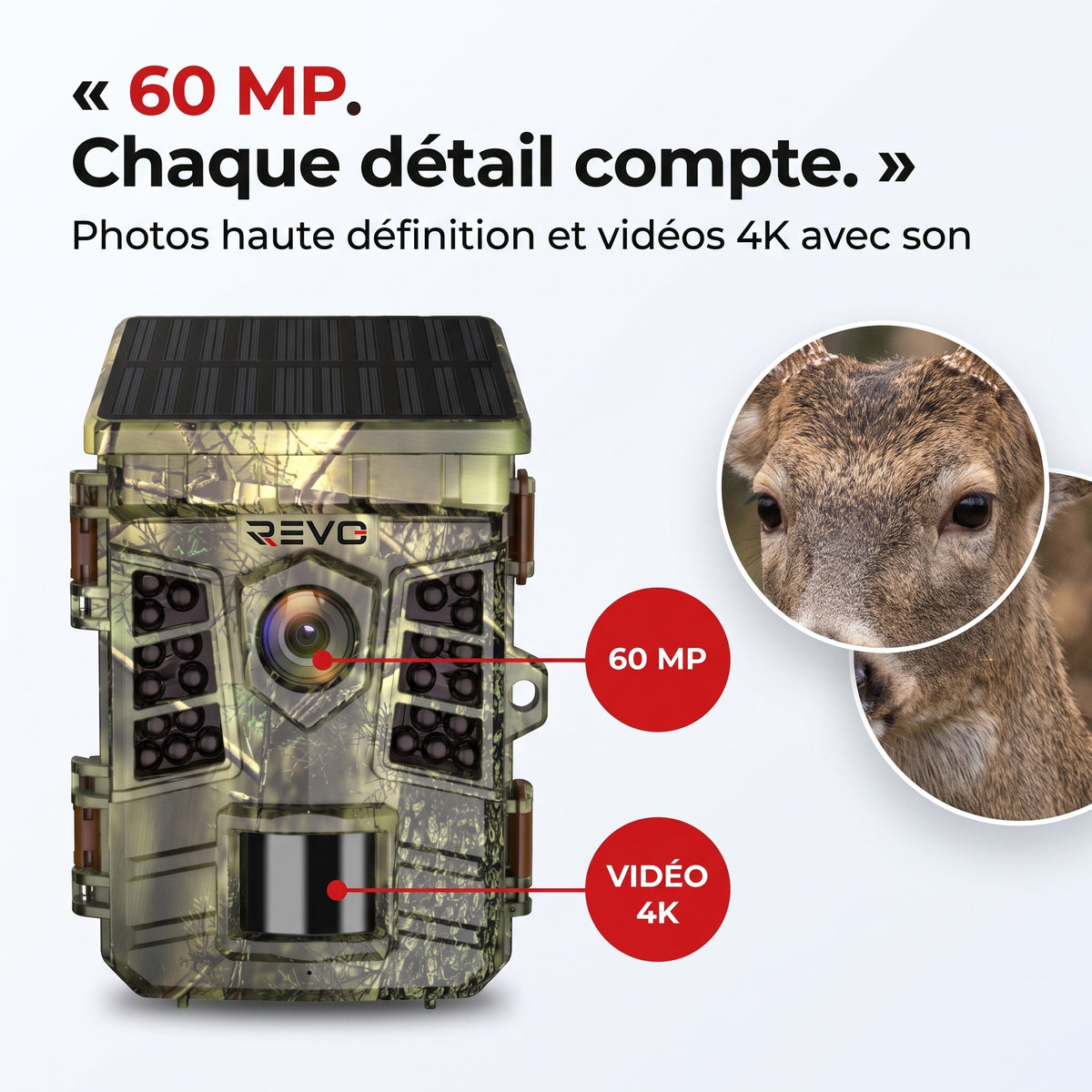 Caméra de Chasse Solaire REVO Faunex 60 – 60 MP, Vidéo 4K, Wi-Fi, Déclenchement 0,1 s & Vision Nocturne IP66