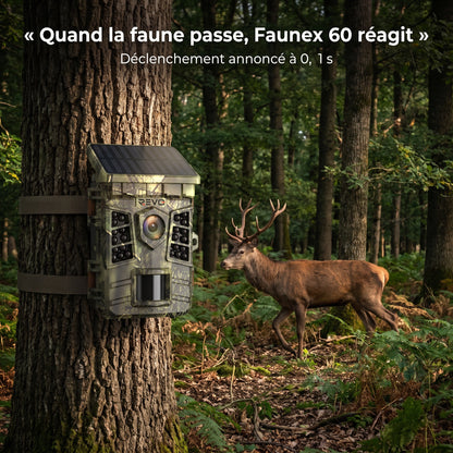 Caméra de Chasse Solaire REVO Faunex 60 – 60 MP, Vidéo 4K, Wi-Fi, Déclenchement 0,1 s & Vision Nocturne IP66