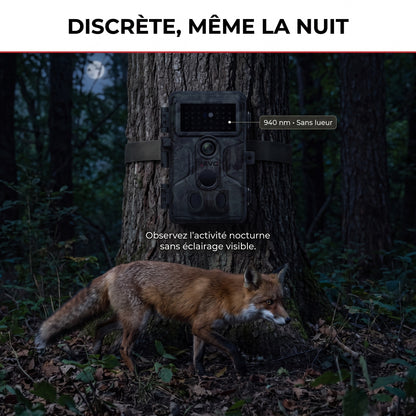 Caméra de Chasse REVO Sylvan 64 – 64 MP, Vidéo 1296P, Déclenchement 0,1 s & Vision Nocturne 30 m