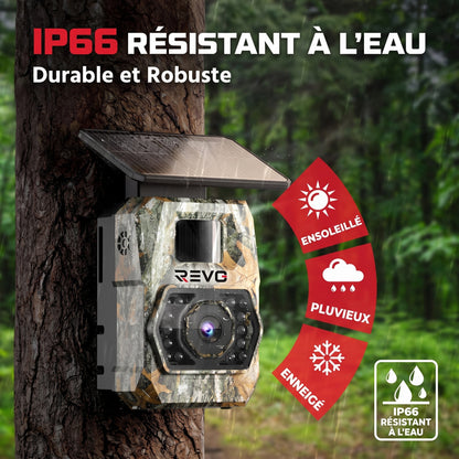 Caméra de Chasse Solaire REVO Ranger 60 – 60 MP 4K, Vision Nocturne 20 m, Batterie 5 200 mAh & Connexion Smartphone