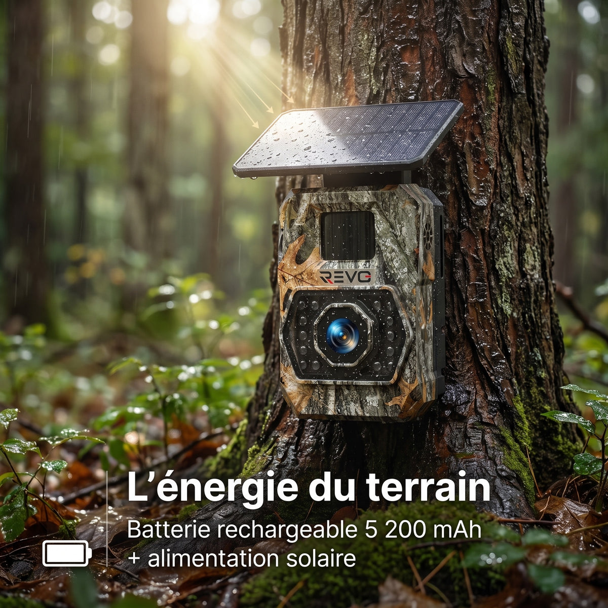 Caméra de Chasse Solaire REVO Ranger 60 – 60 MP 4K, Vision Nocturne 20 m, Batterie 5 200 mAh & Connexion Smartphone
